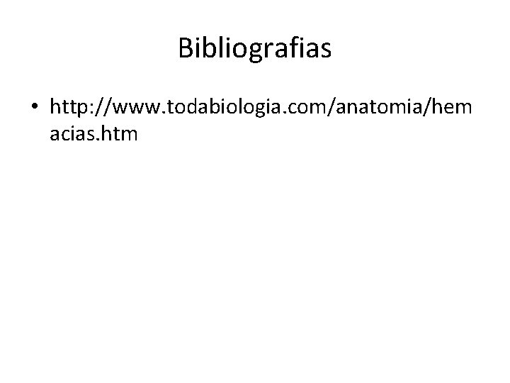 Bibliografias • http: //www. todabiologia. com/anatomia/hem acias. htm 