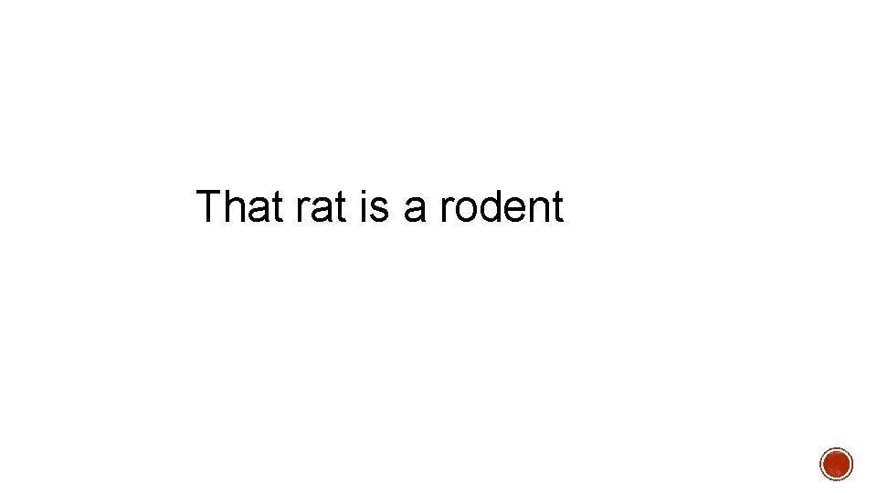 That rat is a rodent 