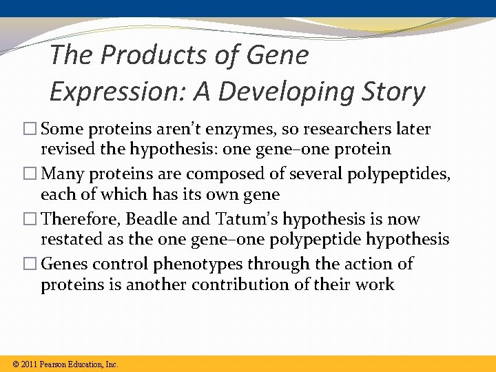 The Products of Gene Expression: A Developing Story � Some proteins aren’t enzymes, so The Products of Gene Expression: A Developing Story � Some proteins aren’t enzymes, so
