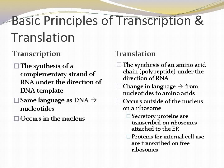 Basic Principles of Transcription & Translation Transcription Translation �The synthesis of a complementary strand Basic Principles of Transcription & Translation Transcription Translation �The synthesis of a complementary strand