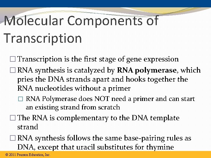 Molecular Components of Transcription � Transcription is the first stage of gene expression � Molecular Components of Transcription � Transcription is the first stage of gene expression �