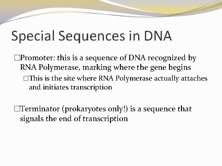 Special Sequences in DNA �Promoter: this is a sequence of DNA recognized by RNA Special Sequences in DNA �Promoter: this is a sequence of DNA recognized by RNA