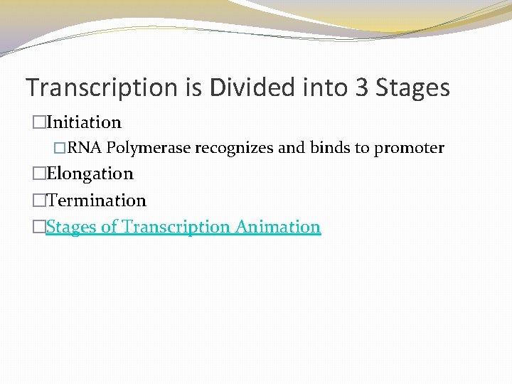 Transcription is Divided into 3 Stages �Initiation �RNA Polymerase recognizes and binds to promoter Transcription is Divided into 3 Stages �Initiation �RNA Polymerase recognizes and binds to promoter