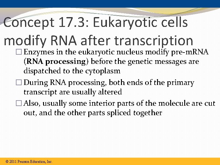 Concept 17. 3: Eukaryotic cells modify RNA after transcription � Enzymes in the eukaryotic Concept 17. 3: Eukaryotic cells modify RNA after transcription � Enzymes in the eukaryotic