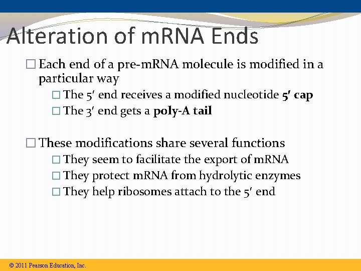 Alteration of m. RNA Ends � Each end of a pre-m. RNA molecule is Alteration of m. RNA Ends � Each end of a pre-m. RNA molecule is