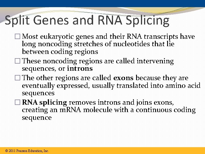 Split Genes and RNA Splicing � Most eukaryotic genes and their RNA transcripts have Split Genes and RNA Splicing � Most eukaryotic genes and their RNA transcripts have