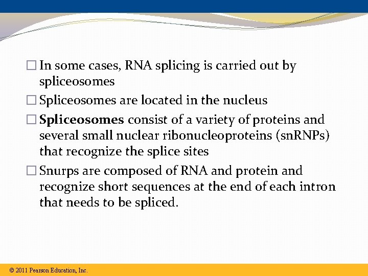 � In some cases, RNA splicing is carried out by spliceosomes � Spliceosomes are � In some cases, RNA splicing is carried out by spliceosomes � Spliceosomes are