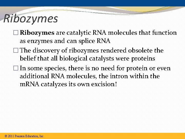 Ribozymes � Ribozymes are catalytic RNA molecules that function as enzymes and can splice Ribozymes � Ribozymes are catalytic RNA molecules that function as enzymes and can splice