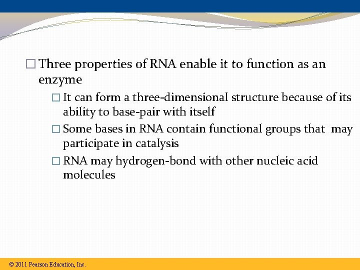 � Three properties of RNA enable it to function as an enzyme � It � Three properties of RNA enable it to function as an enzyme � It