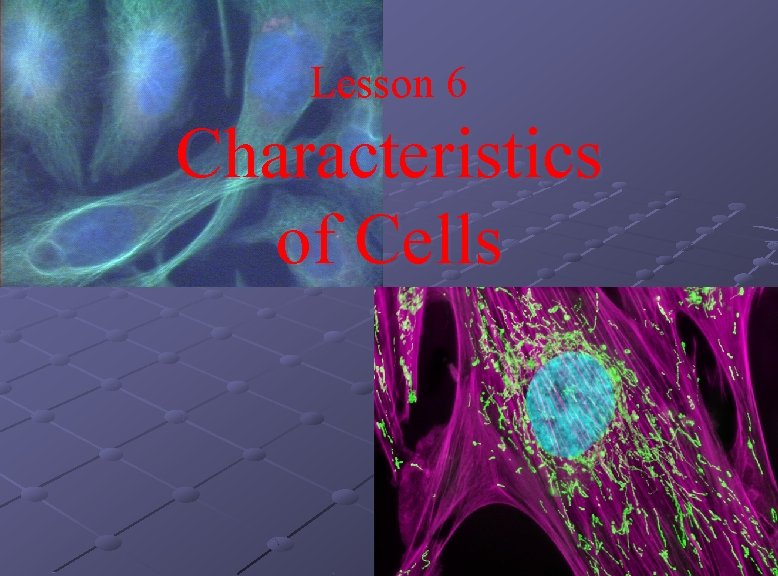 Lesson 6 Characteristics of Cells 