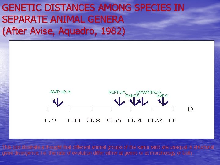 GENETIC DISTANCES AMONG SPECIES IN SEPARATE ANIMAL GENERA (After Avise, Aquadro, 1982) This plot