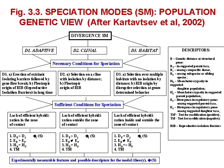 Fig. 3. 3. SPECIATION MODES (SM): POPULATION GENETIC VIEW (After Kartavtsev et al, 2002)