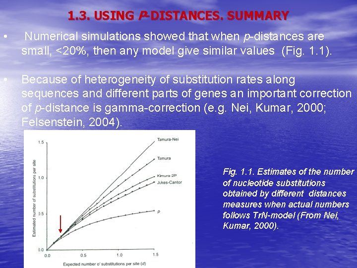 1. 3. USING P-DISTANCES. SUMMARY • Numerical simulations showed that when p-distances are small,