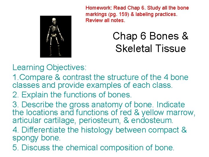 Homework: Read Chap 6. Study all the bone markings (pg. 159) & labeling practices.
