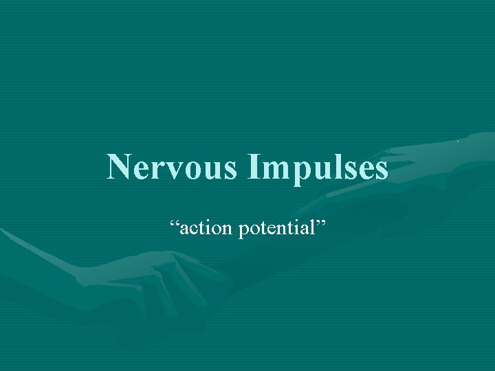 Nervous Impulses “action potential” 