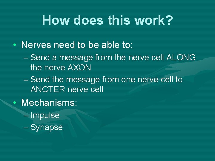 How does this work? • Nerves need to be able to: – Send a