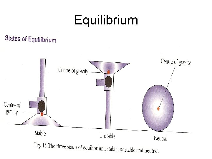 Equilibrium 