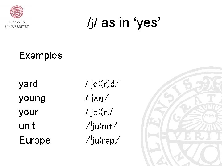 /j/ as in ‘yes’ Examples yard young your unit Europe / jɑː(r)d/ / jʌŋ/