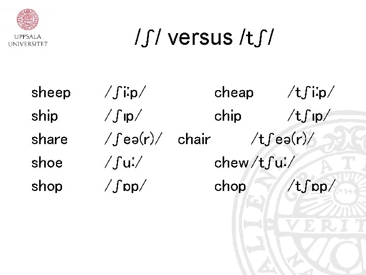 /ʃ/ versus /tʃ/ sheep ship share shop /ʃiːp/ cheap /tʃiːp/ /ʃıp/ chip /tʃıp/ /ʃeə(r)/