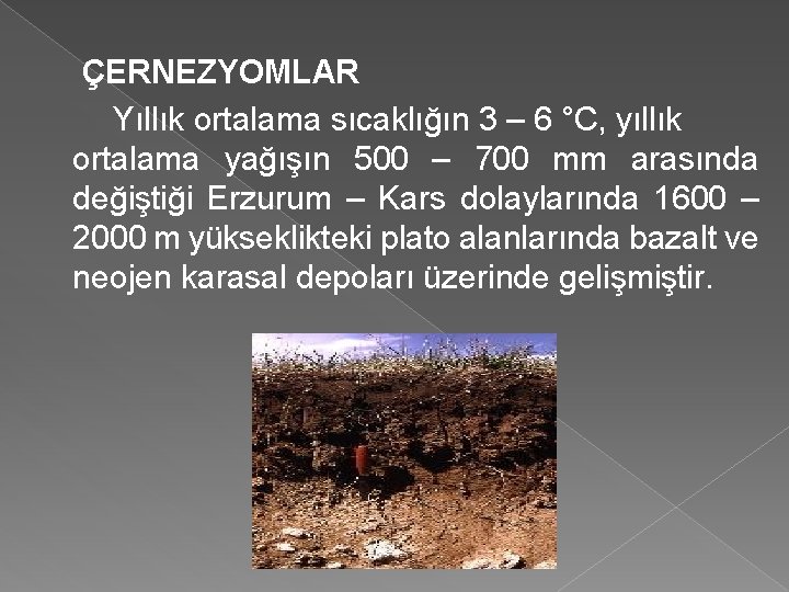 ÇERNEZYOMLAR Yıllık ortalama sıcaklığın 3 – 6 °C, yıllık ortalama yağışın 500 – 700