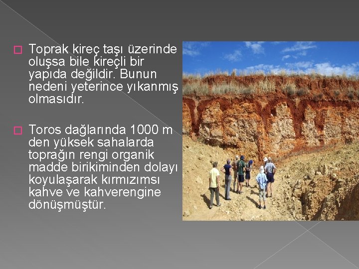 � Toprak kireç taşı üzerinde oluşsa bile kireçli bir yapıda değildir. Bunun nedeni yeterince