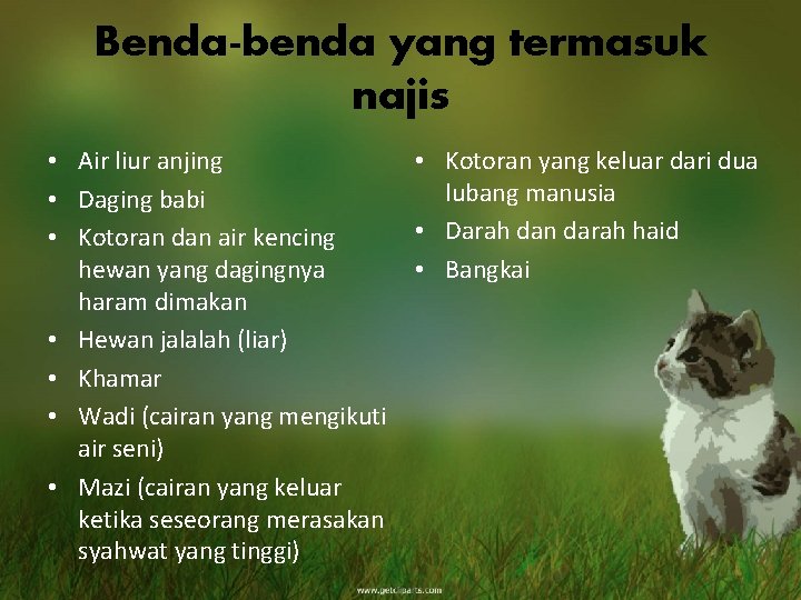 Benda-benda yang termasuk najis • Air liur anjing • Daging babi • Kotoran dan