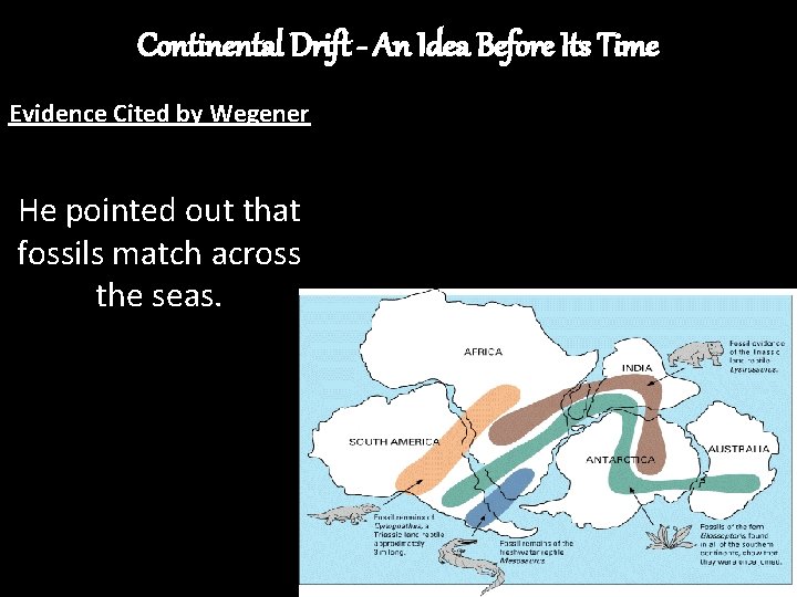 Continental Drift - An Idea Before Its Time Evidence Cited by Wegener He pointed