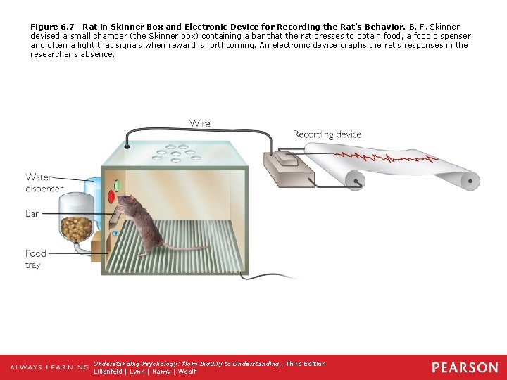 Figure 6. 7 Rat in Skinner Box and Electronic Device for Recording the Rat's