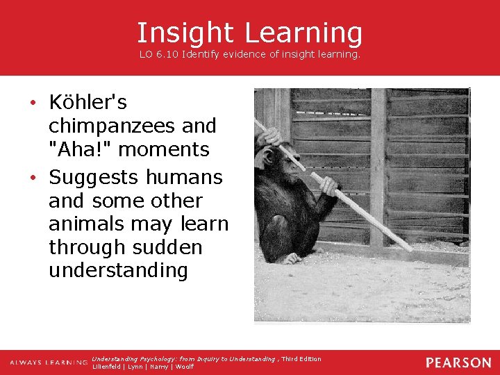 Insight Learning LO 6. 10 Identify evidence of insight learning. • Köhler's chimpanzees and