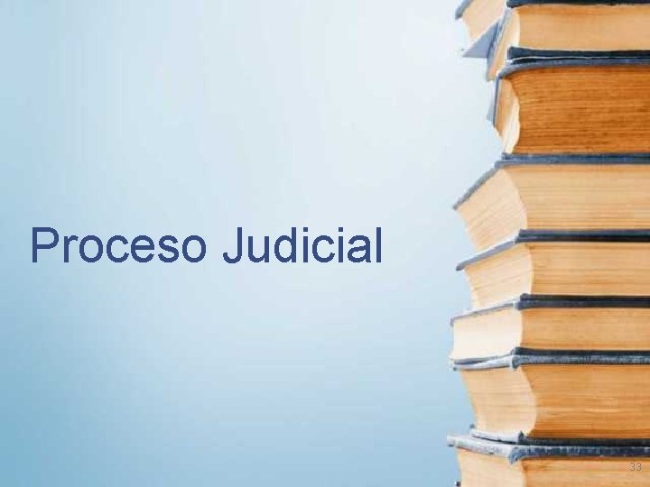 Proceso Judicial 33 