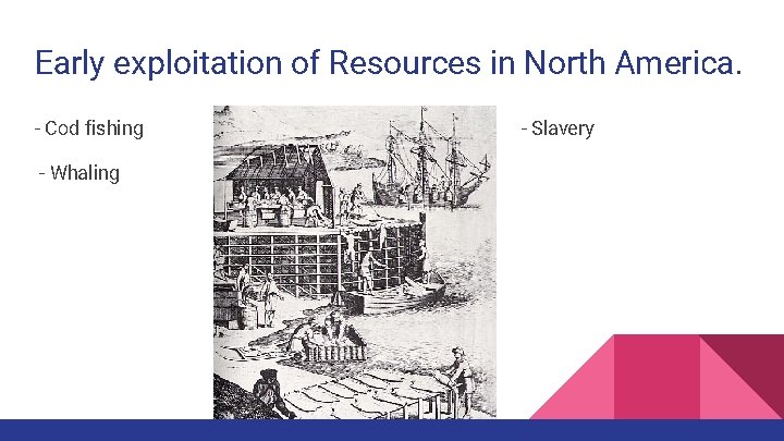 Early exploitation of Resources in North America. - Cod fishing - Whaling - Slavery