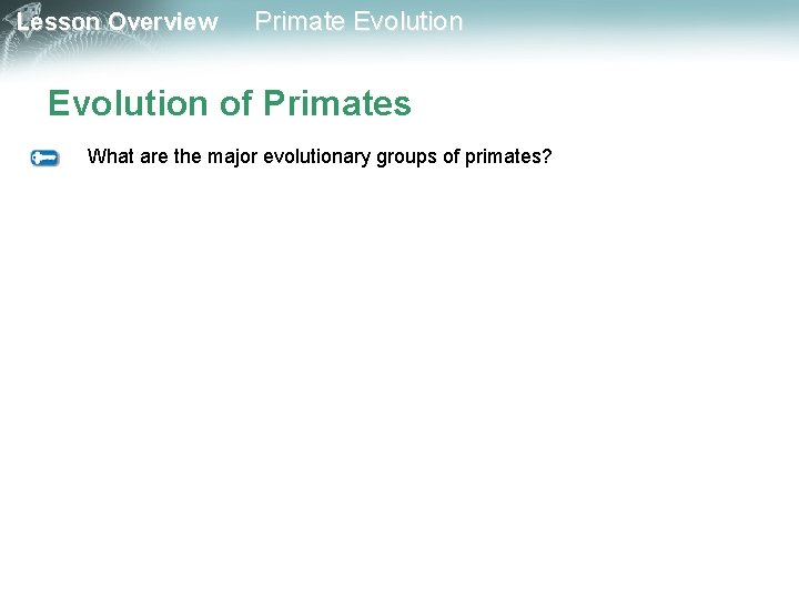 Lesson Overview Primate Evolution of Primates What are the major evolutionary groups of primates?