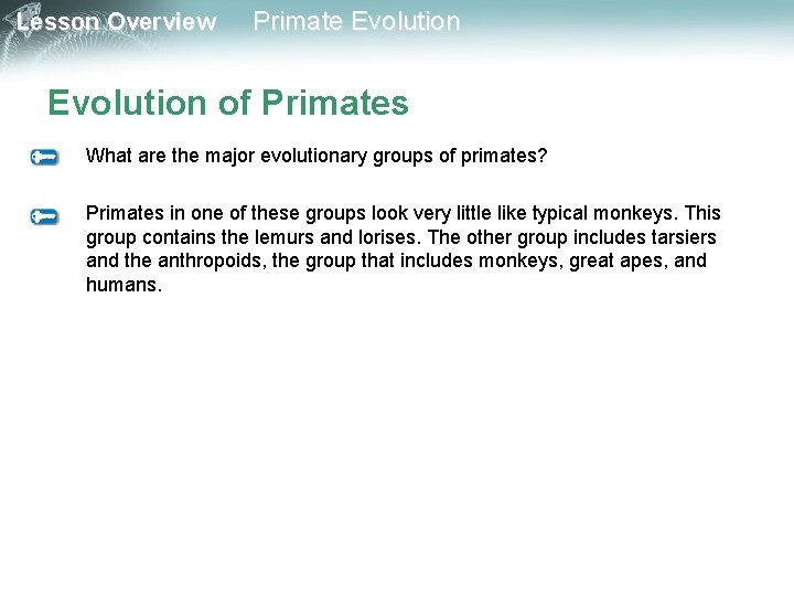 Lesson Overview Primate Evolution of Primates What are the major evolutionary groups of primates?