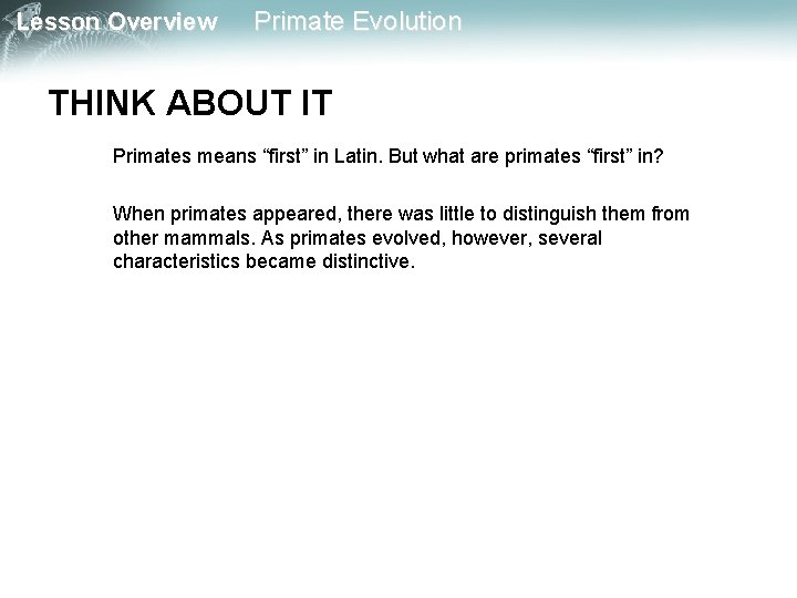 Lesson Overview Primate Evolution THINK ABOUT IT Primates means “first” in Latin. But what