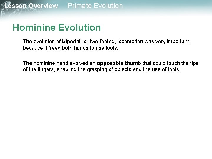 Lesson Overview Primate Evolution Hominine Evolution The evolution of bipedal, or two-footed, locomotion was