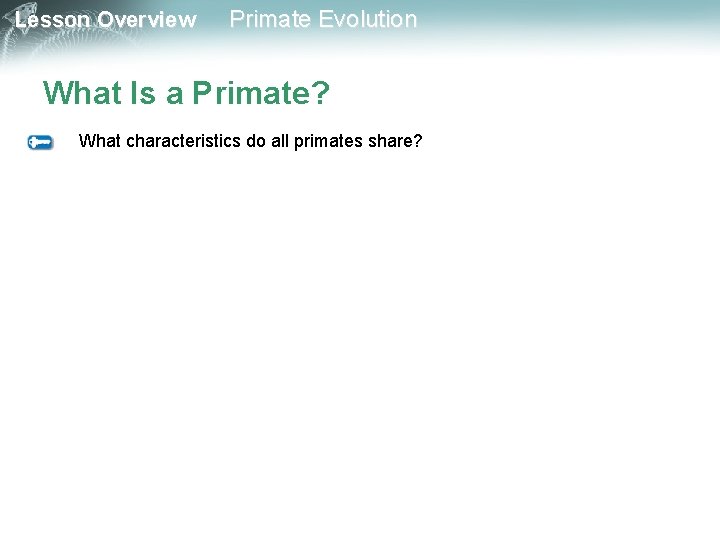 Lesson Overview Primate Evolution What Is a Primate? What characteristics do all primates share?