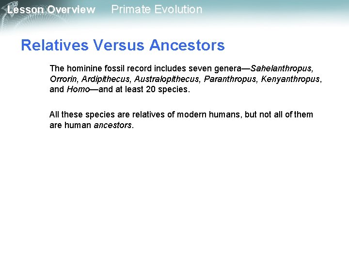 Lesson Overview Primate Evolution Relatives Versus Ancestors The hominine fossil record includes seven genera—Sahelanthropus,