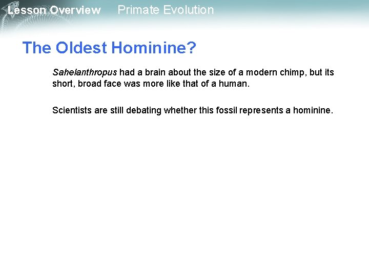 Lesson Overview Primate Evolution The Oldest Hominine? Sahelanthropus had a brain about the size