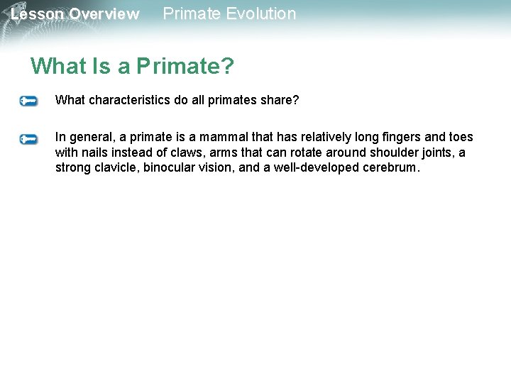 Lesson Overview Primate Evolution What Is a Primate? What characteristics do all primates share?