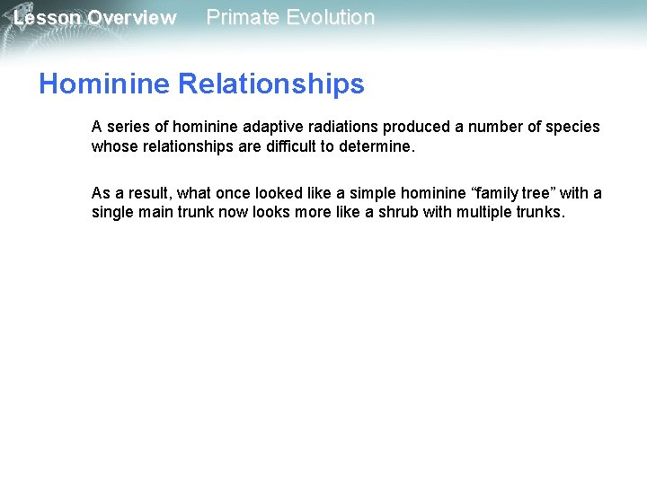 Lesson Overview Primate Evolution Hominine Relationships A series of hominine adaptive radiations produced a