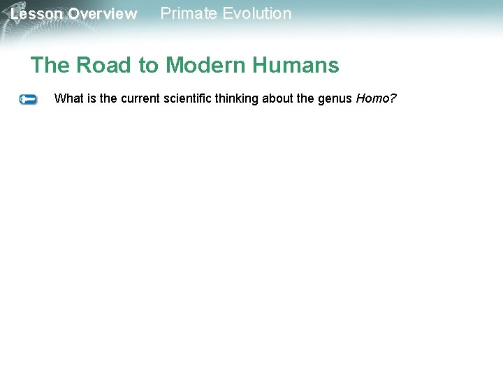 Lesson Overview Primate Evolution The Road to Modern Humans What is the current scientific