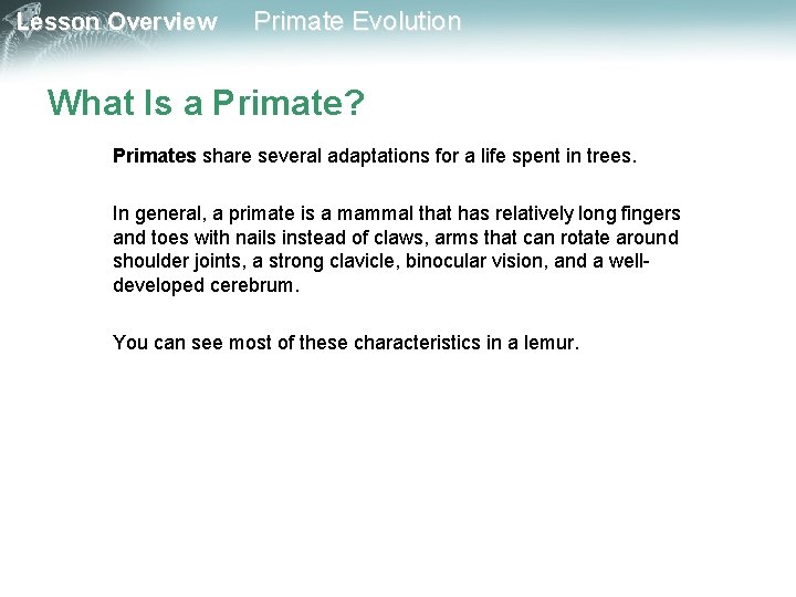 Lesson Overview Primate Evolution What Is a Primate? Primates share several adaptations for a