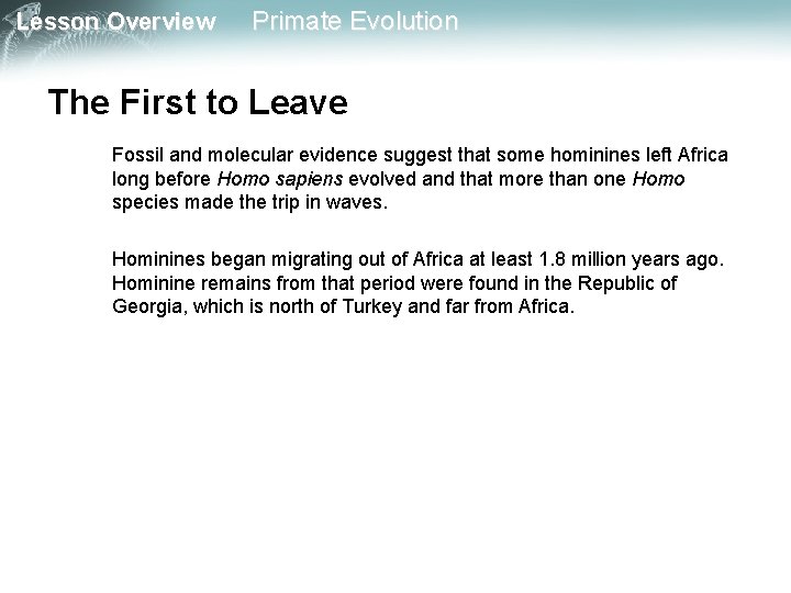 Lesson Overview Primate Evolution The First to Leave Fossil and molecular evidence suggest that