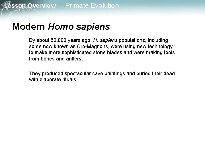 Lesson Overview Primate Evolution Modern Homo sapiens By about 50, 000 years ago, H.