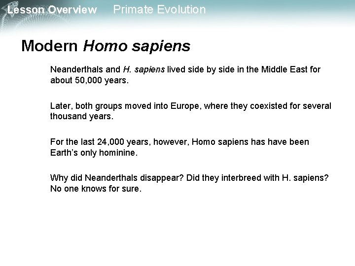 Lesson Overview Primate Evolution Modern Homo sapiens Neanderthals and H. sapiens lived side by
