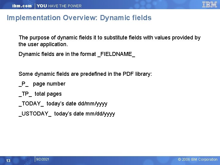 ibm. com YOU HAVE THE POWER Implementation Overview: Dynamic fields The purpose of dynamic