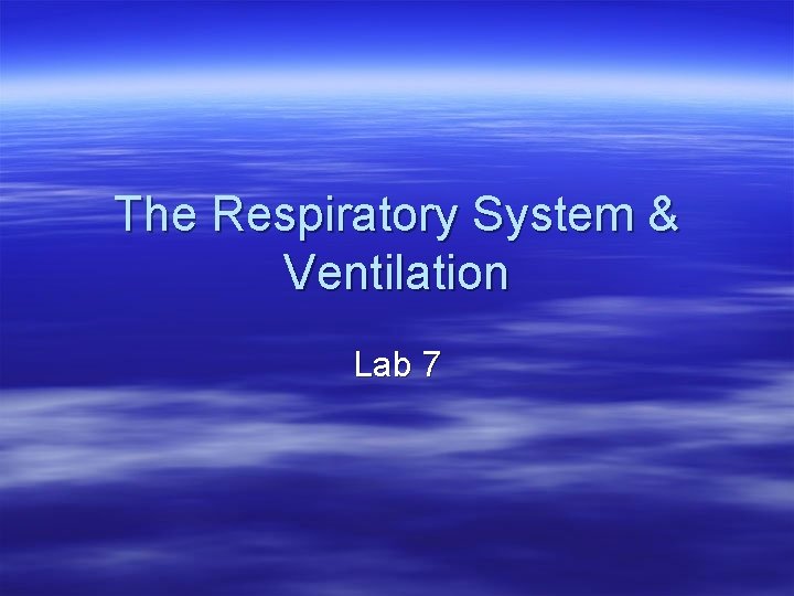 The Respiratory System & Ventilation Lab 7 
