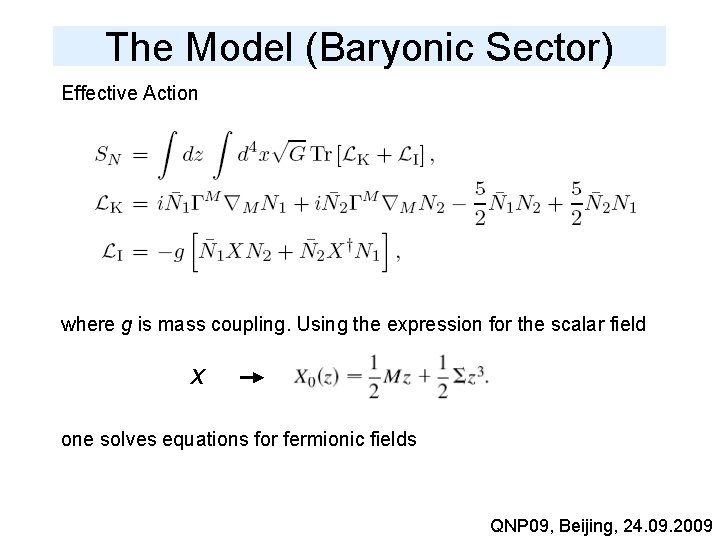 The Model (Baryonic Sector) Effective Action where g is mass coupling. Using the expression