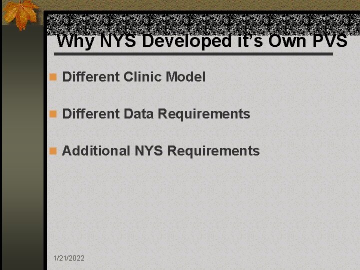 Why NYS Developed it’s Own PVS n Different Clinic Model n Different Data Requirements