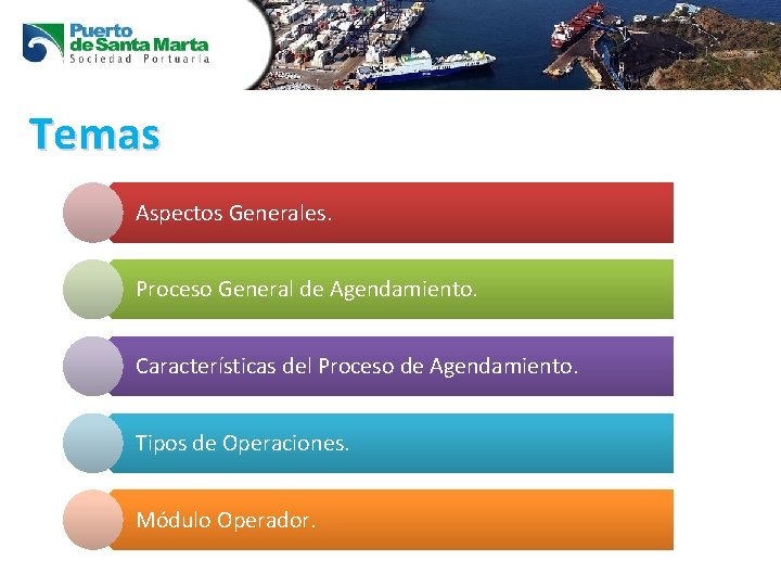 Temas Aspectos Generales. Proceso General de Agendamiento. Características del Proceso de Agendamiento. Tipos de
